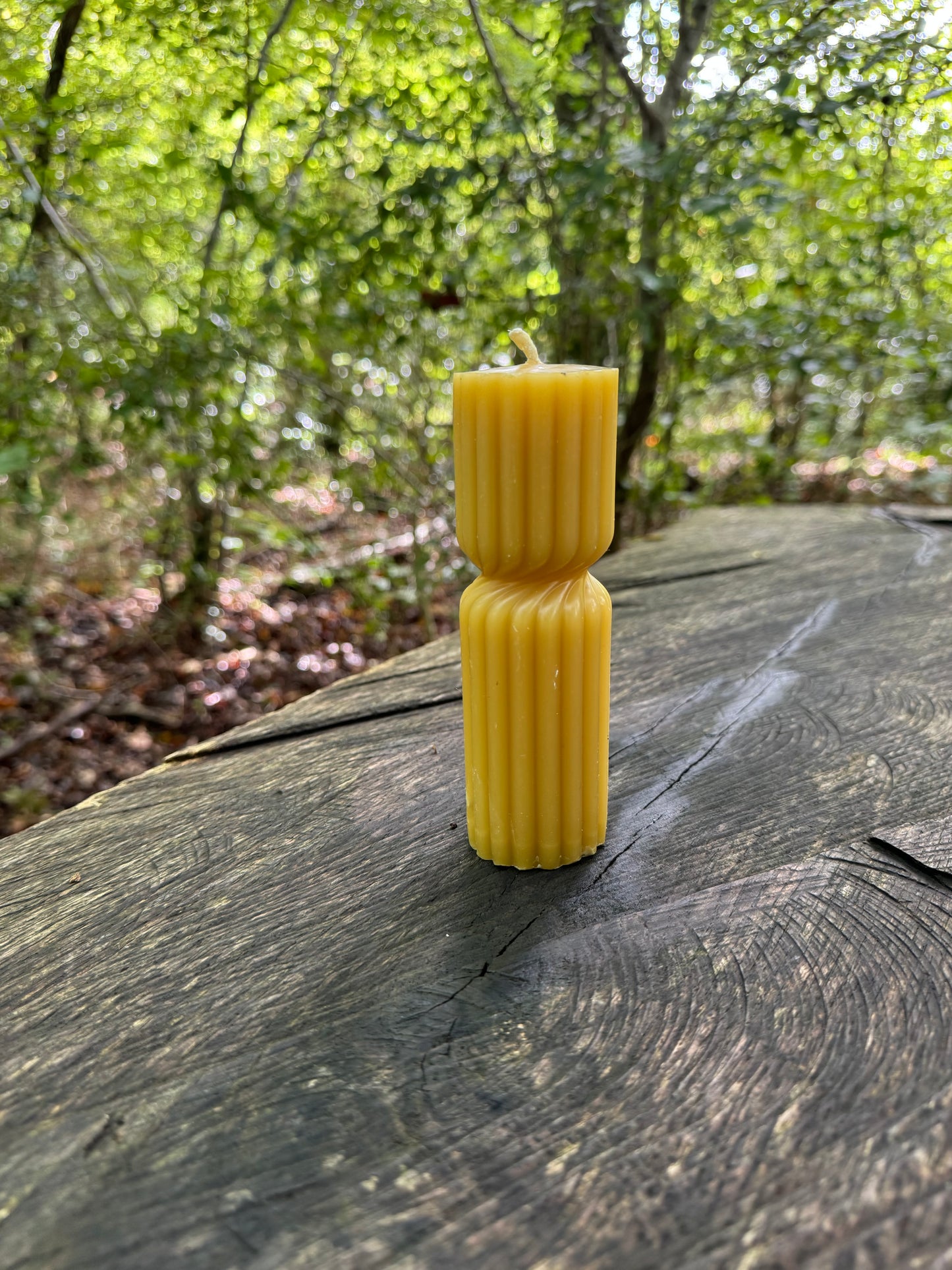 Yellow pillar beeswax candle on a tree trunk with a forest background