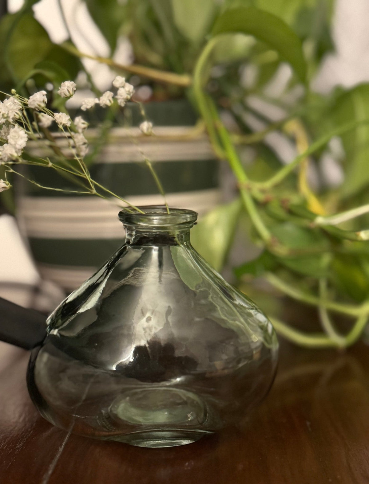 Ember & FlourishBrume Glass Vase