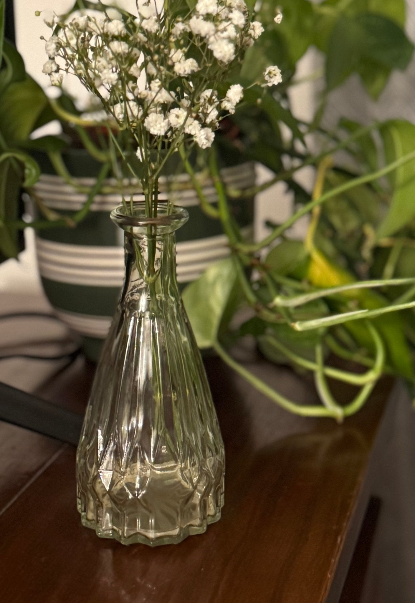 Ember & FlourishRipley Glass Bud Vase