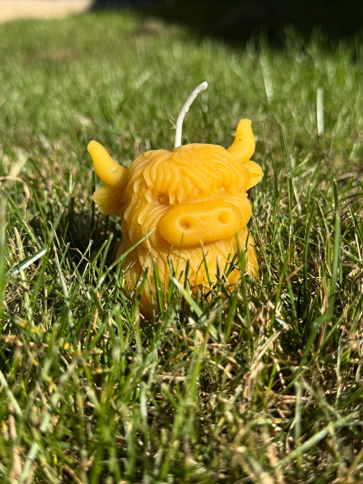 Highland Cow Hand Poured Beeswax Candle
