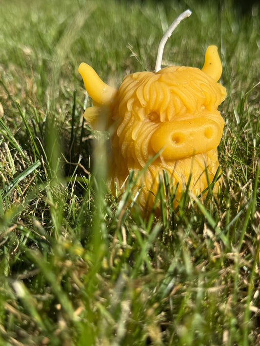 Highland Cow Hand Poured Beeswax Candle