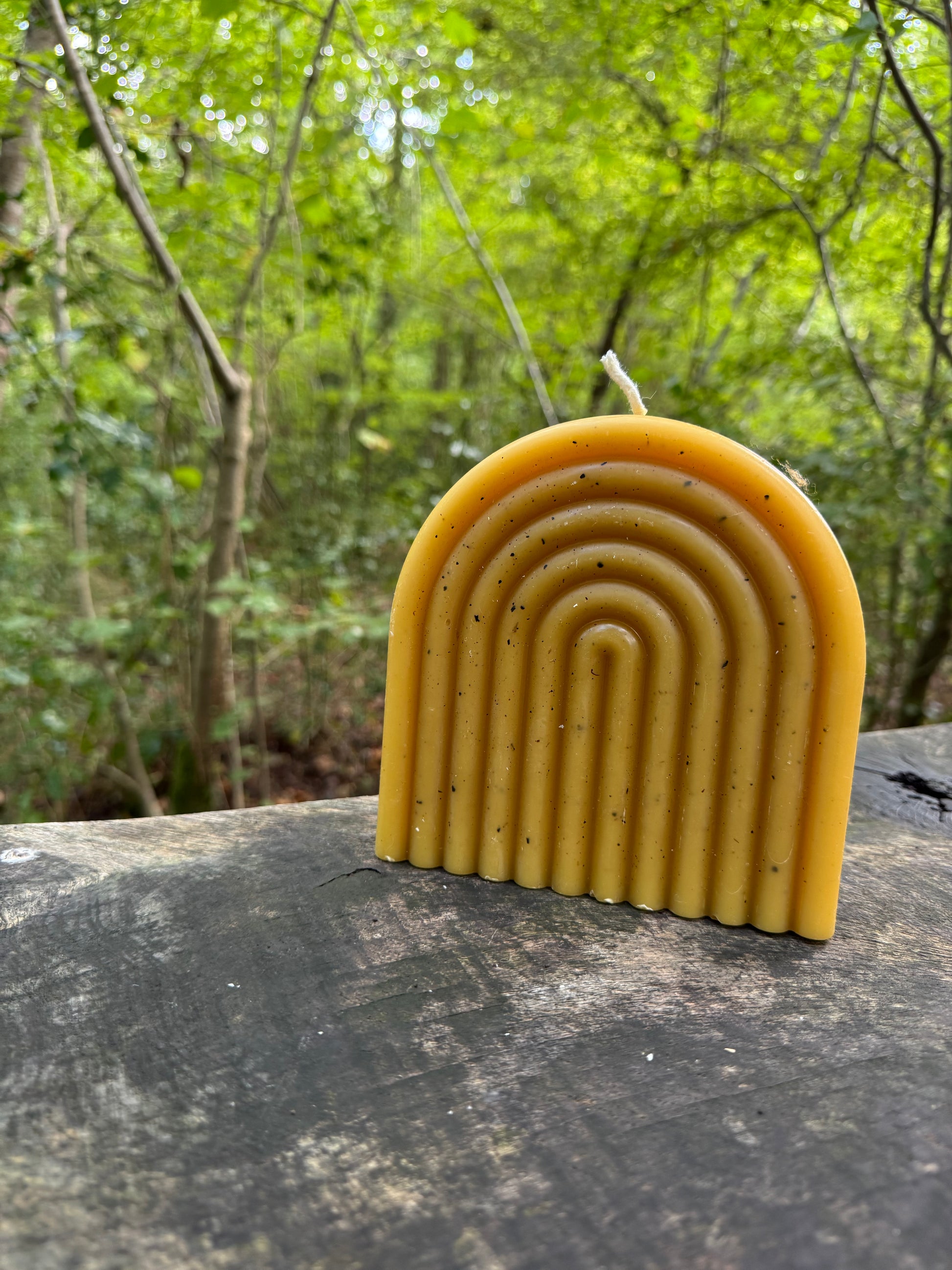 Beeswax Candles, freckled candle rested on a tree trunk with a natural forest background