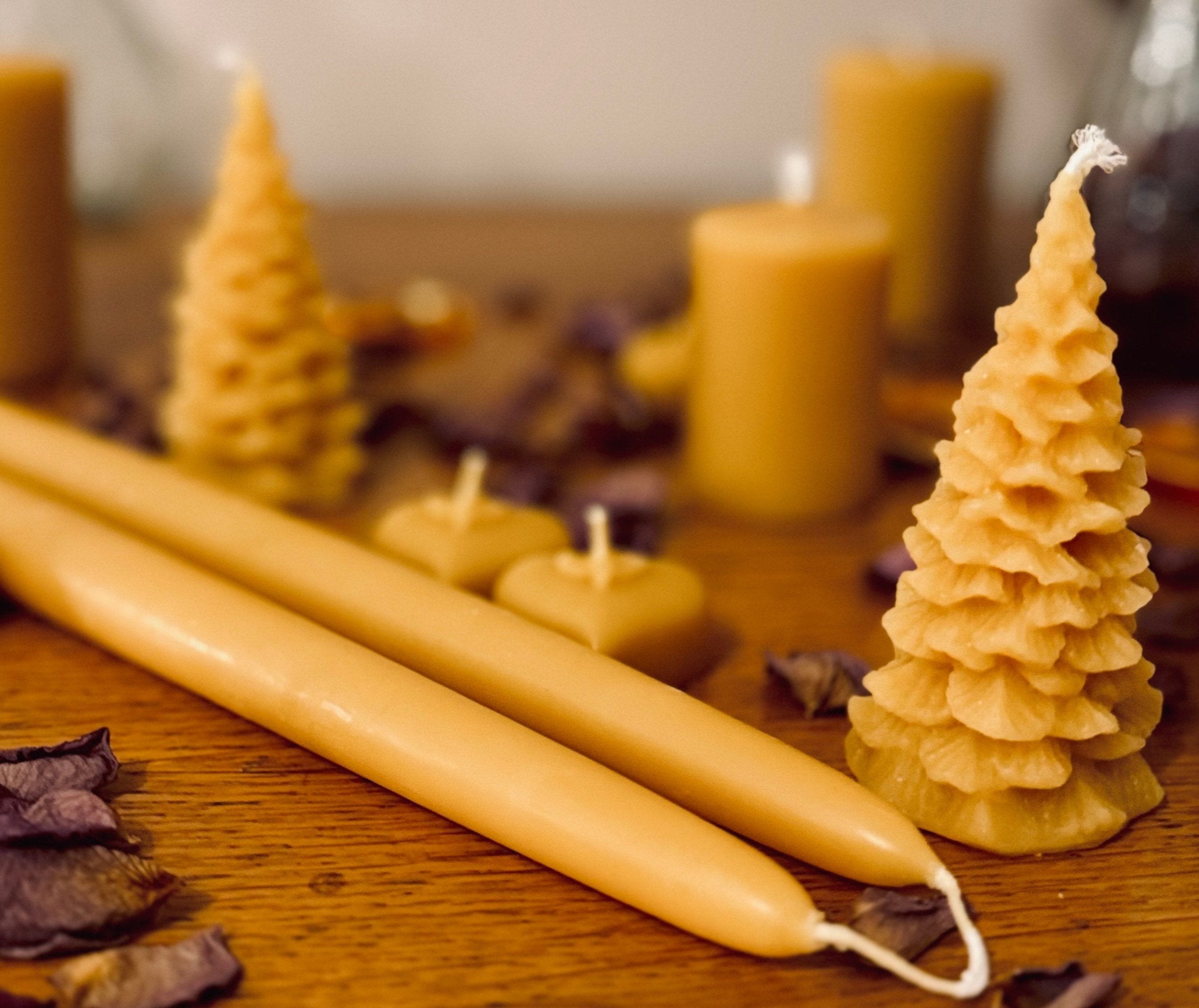 An image of beeswax candles including two long tapered candles placed horizontally in the foreground and decorative, christmas tree shaped candles in the background. The scene has a warm, rustic aesthetic with dried petals scattere around