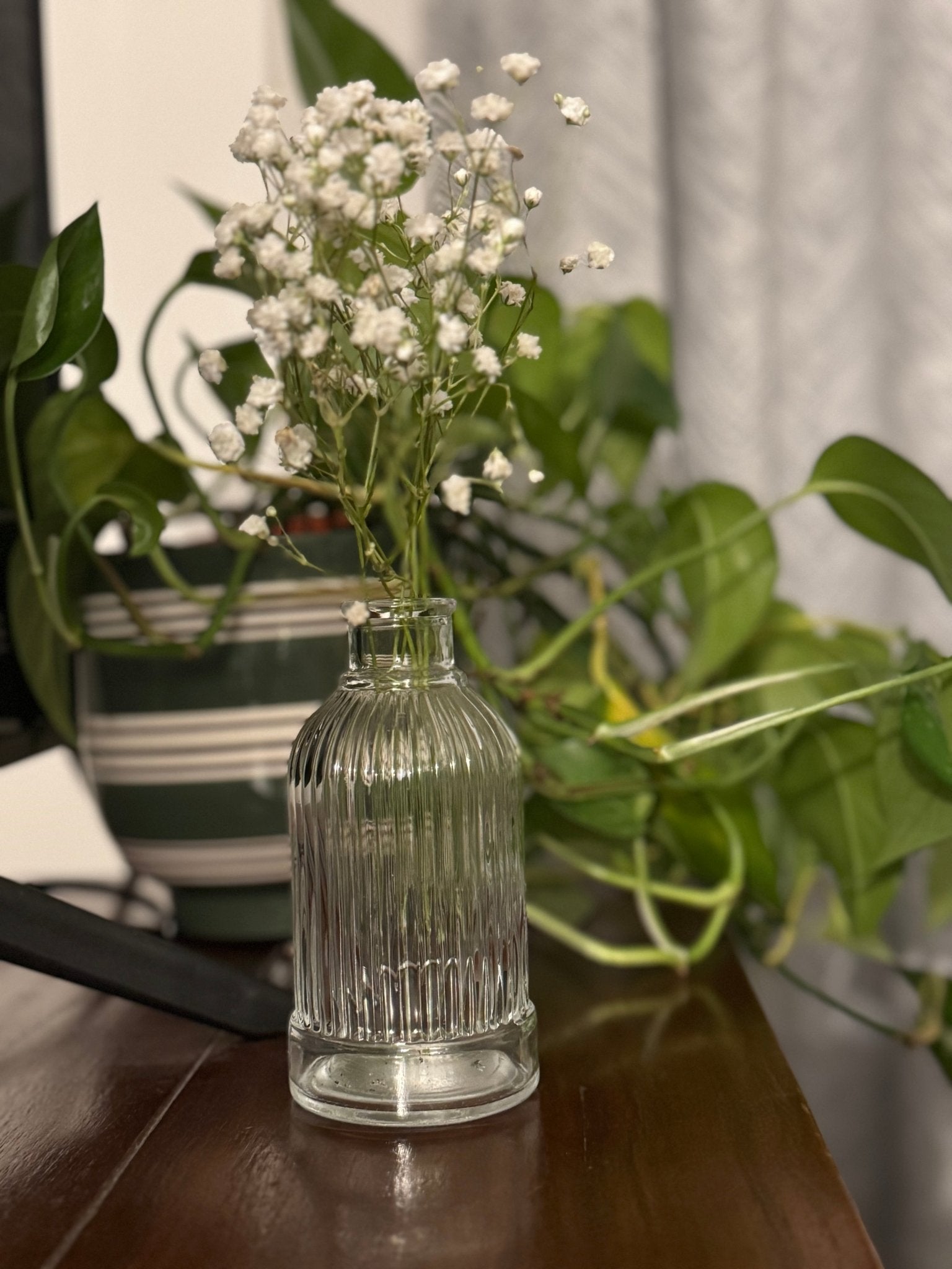 Ember & FlourishCove Vase