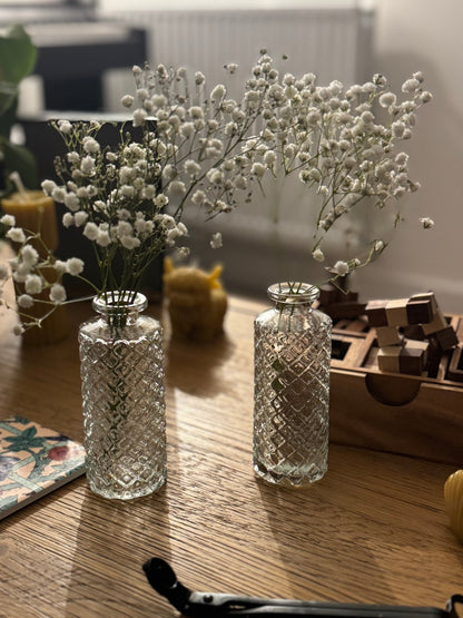 Ember & FlourishDappled Wren Pair