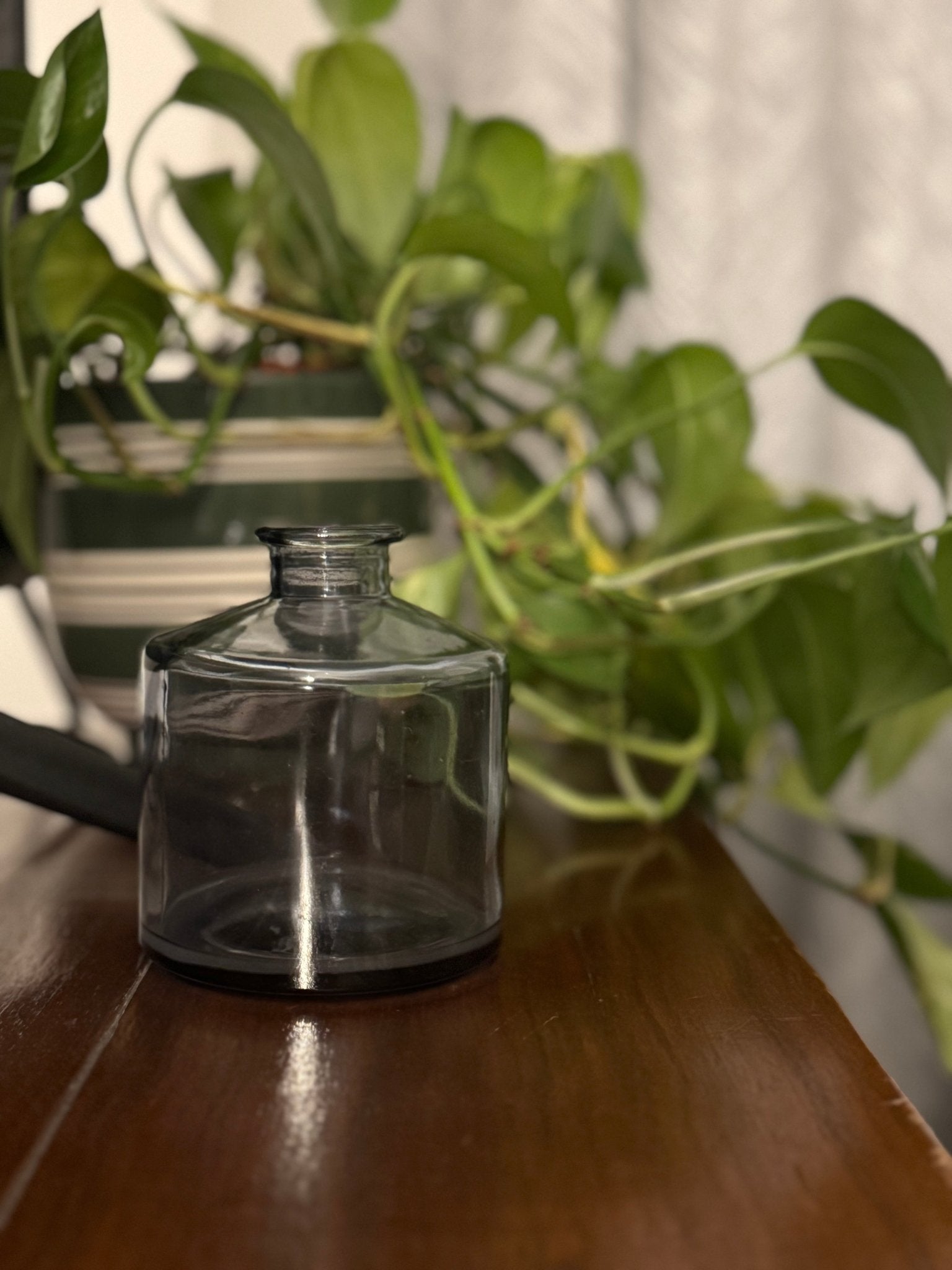 Ember & FlourishPoet’s Dusk Glass