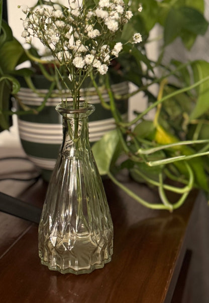 Ember & FlourishRipley Glass Bud Vase