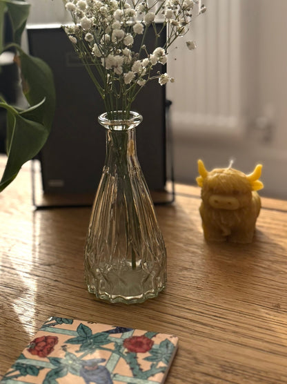 Ember & FlourishRipley Glass Bud Vase