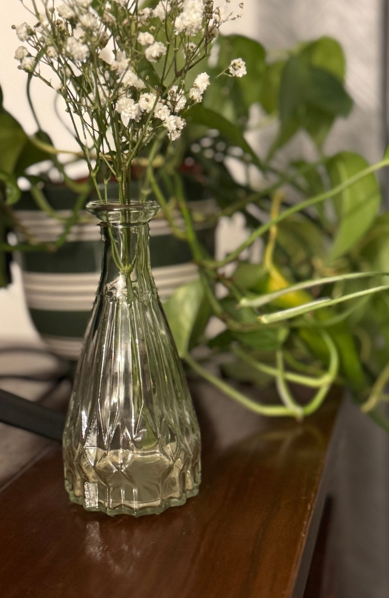 Ember & FlourishRipley Glass Bud Vase