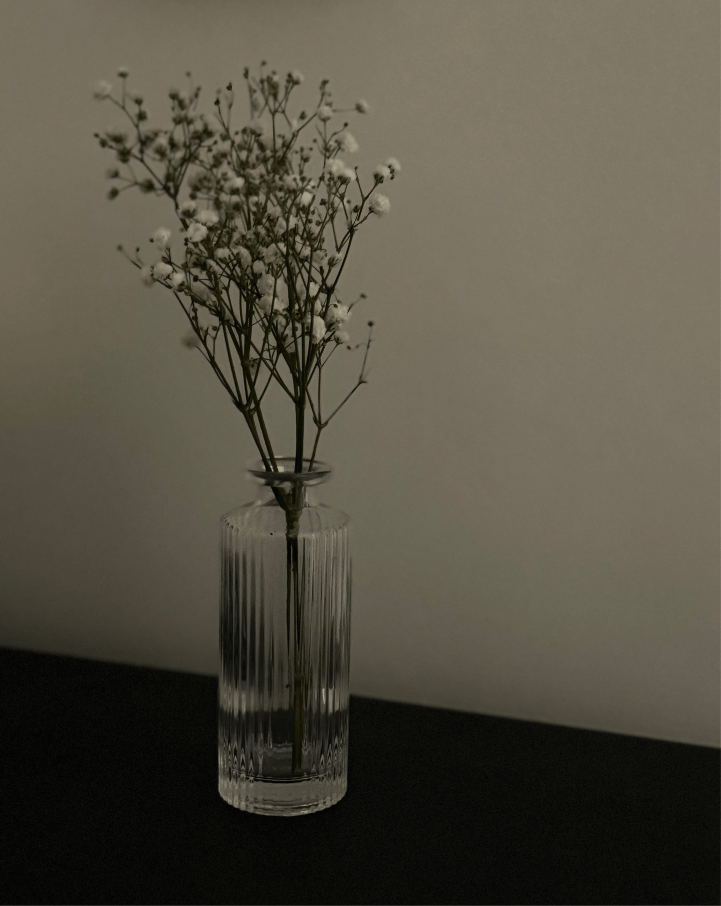 Ember & FlourishWillow Groove Glass Vase