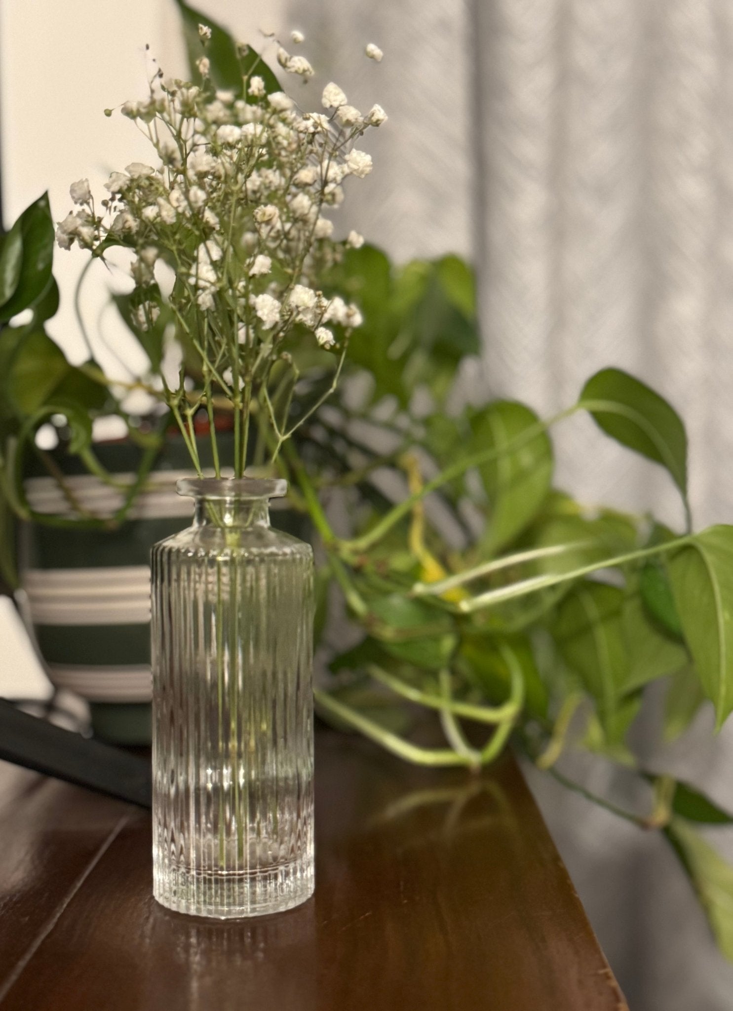Ember & FlourishWillow Groove Glass Vase