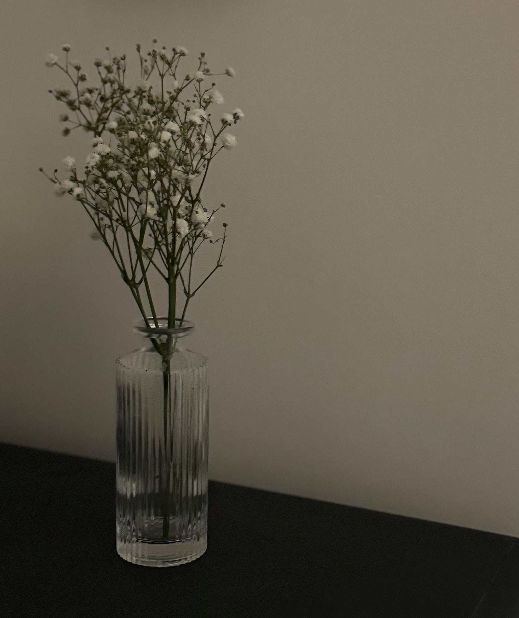 Ember & FlourishWillow Groove Glass Vase